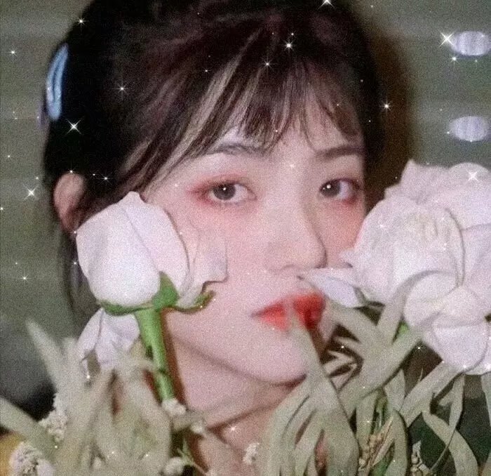 阿索卡